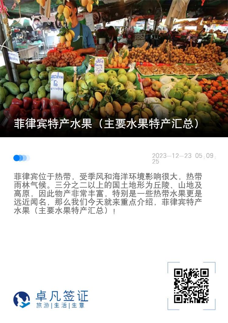 菲律宾特产水果（主要水果特产汇总）