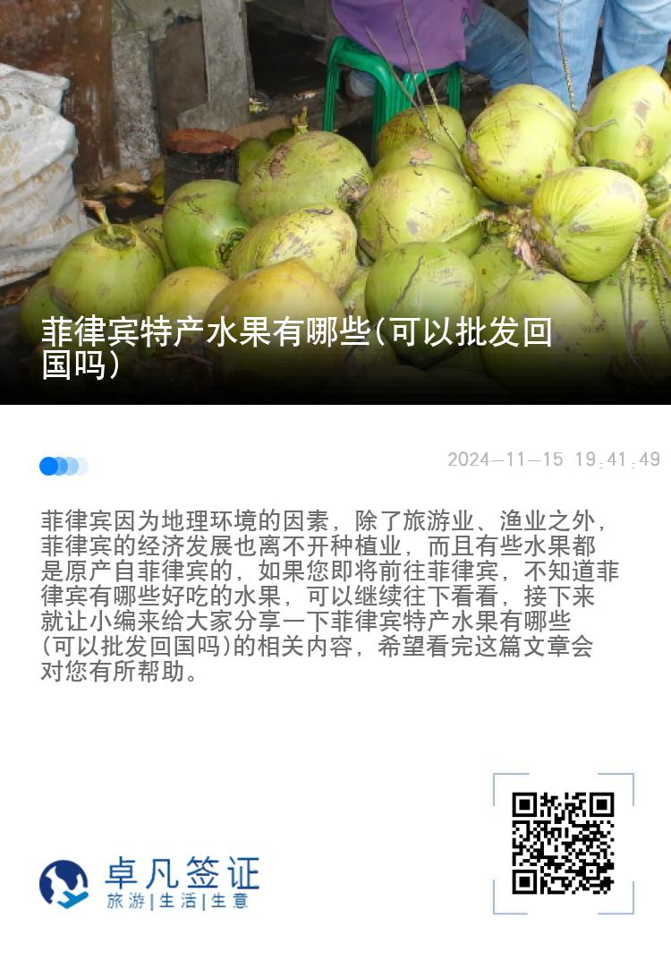 菲律宾特产水果有哪些(可以批发回国吗)