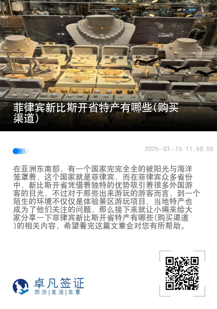 菲律宾新比斯开省特产有哪些(购买渠道)